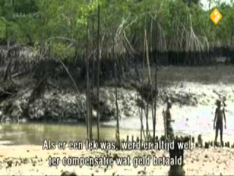 Zembla - Shell en de Niger Delta 1/3