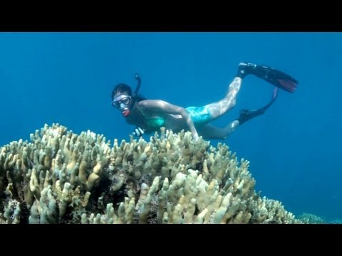 Waterfalls and Snorkelling Samoa 2013, Travel Video Guide