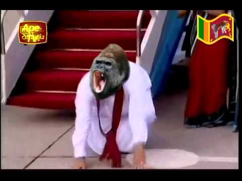 Sri lanka latest news mahinda moda arrived in Sri Monkey funny