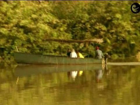 River safari in Gambia