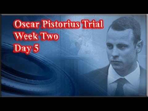 Oscar Pistorius Trial: Friday 14 March 2014, Session 1