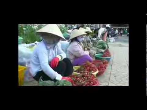 Dalat Easy Rider Motorcycle Tour, Vietnam Travel Guide