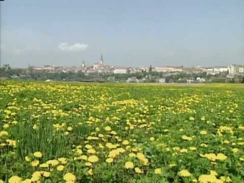 Train Travel from Germany to Turkey (1995)