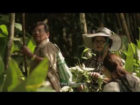 PETRONAS Kaamatan Episode 2: Traditional Food