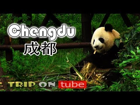 Trip on tube : China trip ( 中国 ) Episode 6 - Chengdu trip ( 成都 ) [HD]