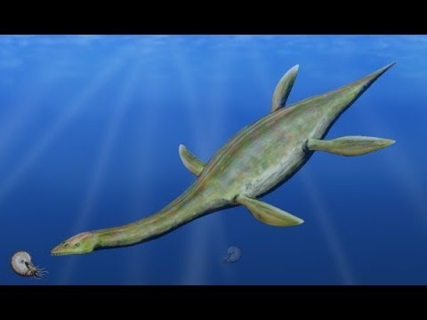 Plesiosaur Do these Prehistoric Creatures Still Exists ?