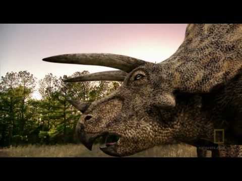 Finding Dinosaur Documentary