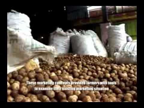 International Potato Center (CIP) Farmer Business School-Indonesia