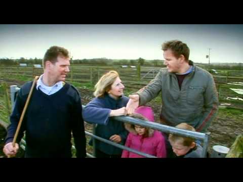 Gordon and Family Visit Baby Piglets - Gordon Ramsay