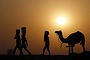 Girls carrying buckets filled with water are silhouetted against the setting sun as they walk past a camel on the banks of river Yamuna in New Delhi May 1, 2014. REUTERS/Anindito Mukherjee (INDIA - Tags: ANIMALS SOCIETY TPX IMAGES OF THE DAY)