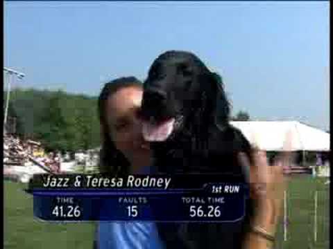 Purina Incredible Dog Agility Challenge