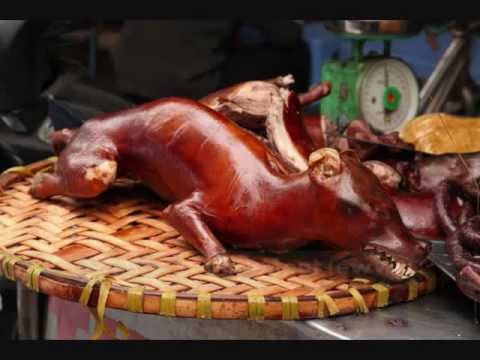 Top 10 Weirdest Foods in Vietnam