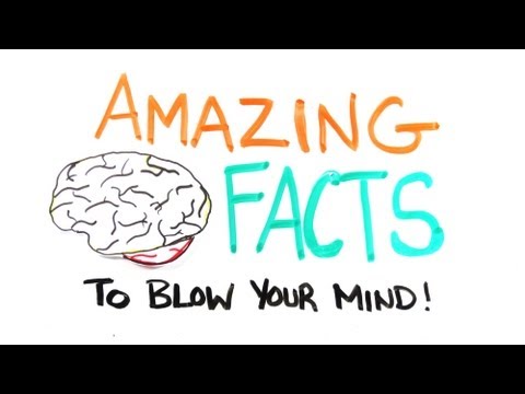 Amazing Facts to Blow Your Mind Pt. 2