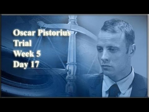 Oscar Pistorius Trial: Monday 7 April 2014, Session 2