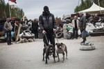 A masked pro Russia man and his two dogs pose for a picture at the barricades surrounding the Donetsk administration building before a press conference to inform the media about the referendum at the occupied administration building in Donetsk, Ukraine, Thursday, May 8, 2014.