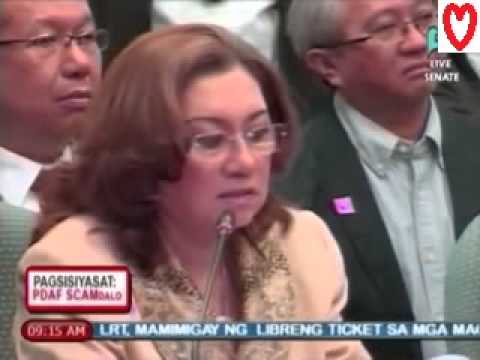 [Part 1] RUBY TUASON PDAF PORK BARREL HEARING AT THE SENATE  (13 February 2014) Janet Napoles