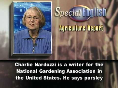 VOA Learning English - Agriculture Report  # 391