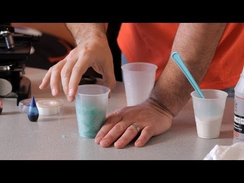 How to Make Water Disappear | Science Projects