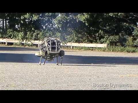 WildCat Robot Runs On All Fours | Video