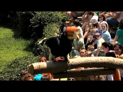 Cincinnati USA 2012 Summer TV CAmpaign - Cincinnati Zoo