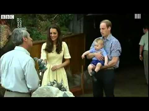 BBC News   Prince George  #039;unimpressed #039; with toy Bilby on Australia tour