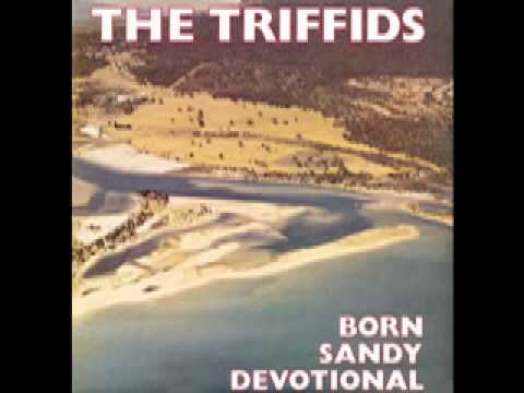 Estuary Bed - The Triffids