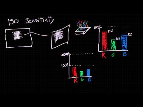 A Simple Explanation of ISO for Digital Photography and Video