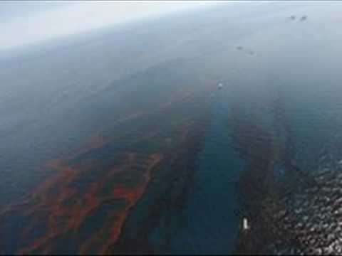 Is It Raining Oil in Florida? This Is Just The Beginning - Breaking News!!!