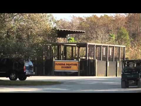 Florida Seminole Tourism - Promo