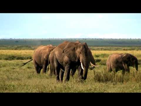 Romance Travel Guide Preview - Kenya, Africa