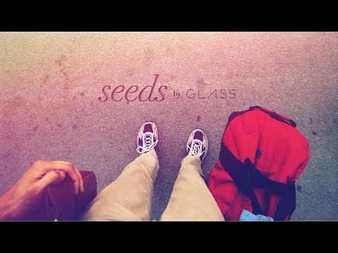 Seeds [through Google Glass]