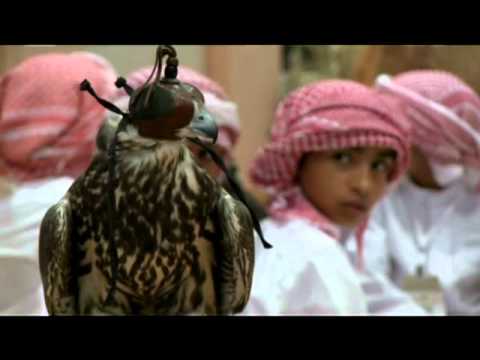 Falconry, a living human heritage