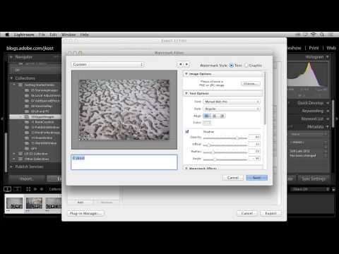 Lightroom 5: Exporting Images