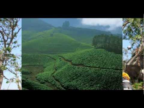 India Kerala Wilderness South India Package Holidays Travel Guide Travel To Care