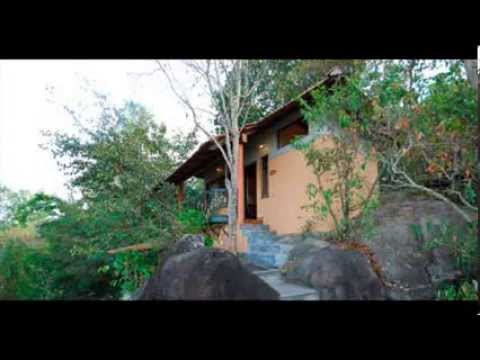 India Kerala Virgin North Kerala Package Holidays Travel Guide Travel To Care