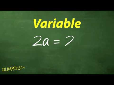 Understanding the Vocabulary of Algebra For Dummies