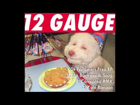 Sadhu & 12Gauge - The Backwards Song [Free Download]