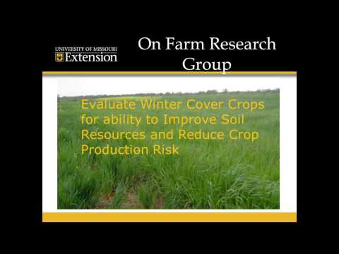 Charlie Ellis and Rich Hoormann: On-Farm Cover Crop Strip Trials