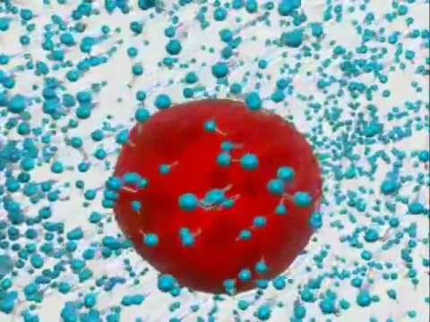 MPCD - Mechanism for the micelle formation and the surfactant action.