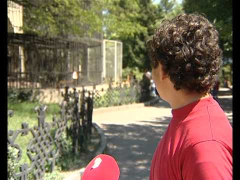 Tbilisi zoo news, 2011