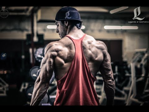 Back Training 101 by Chris Lavado