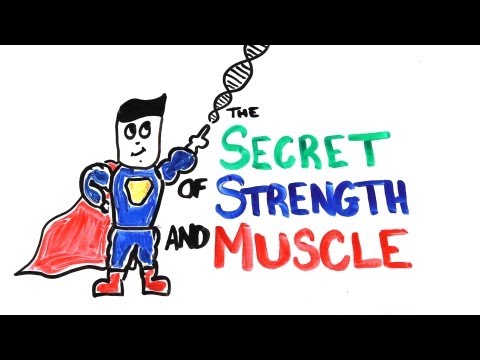 The Scientific Secret of Strength and Muscle Growth