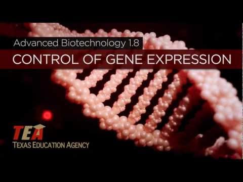 Control of Gene Expression - TEA Biotechnology Podcast 1.8