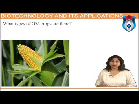 Biotechnology and Its Applications