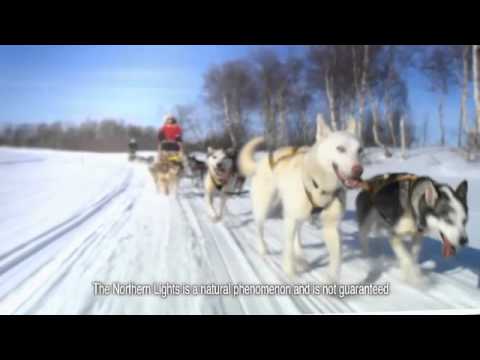 Hurtigruten 'Norway Up In Lights' - Tourism TV Commercial