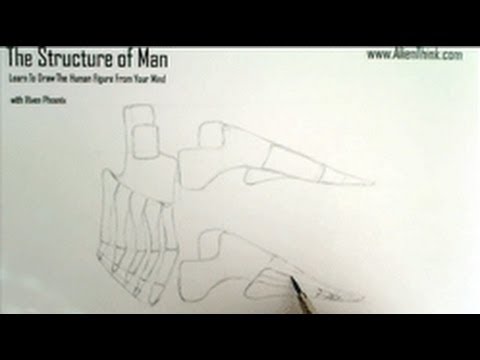 Tutorial 181 - Complete Figure Drawing Course: The Muscles of the Foot - Part 3