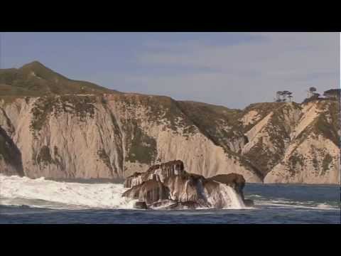 Under The Weather - Surfing in New Zealand