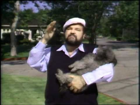 Funniest Joke I Ever Heard 1984 Dom DeLuise