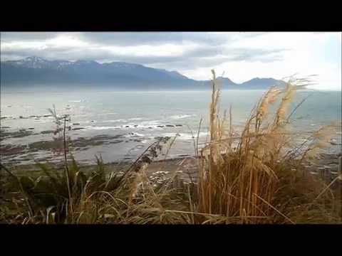 Road Trip  (Dunedin to Golden Bay, NZ)