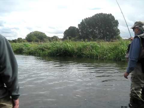 Big Brown on the River Test